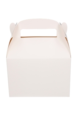 Draagdoosjes Danau Wit 17.3x11.4x12.3cm 25stuks