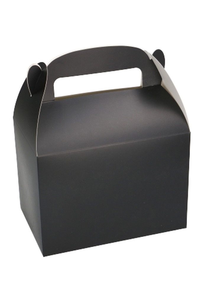 Draagdoosjes Danau Zwart 17.3x11.4x12.3cm 23stuks
