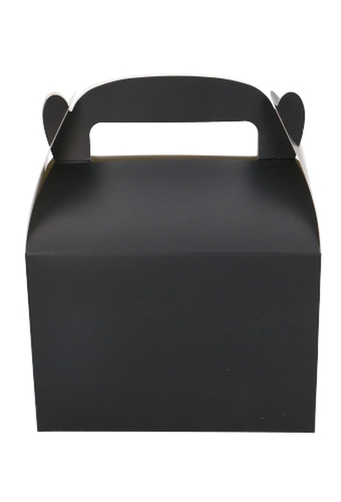 Draagdoosjes Danau Zwart 17.3x11.4x12.3cm 23stuks