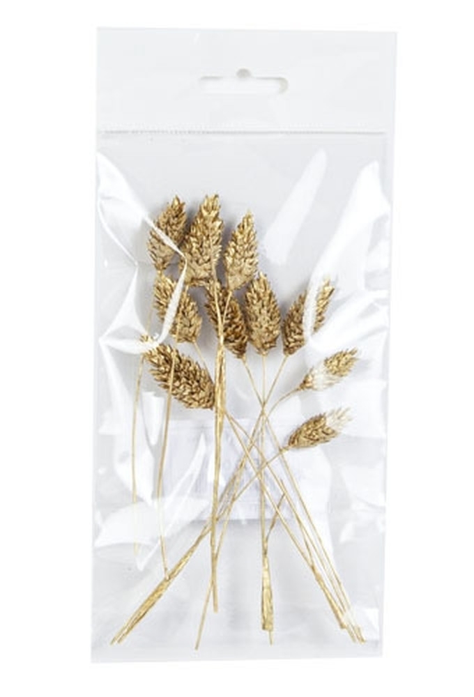 Droogbloemen Mini Decoratie Flower Phalaris Gold 12cm 10stuks