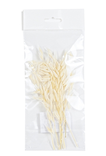 Droogbloemen Mini Decoratie Flowers Haver Wit 12cm 10stuks OP IS OP