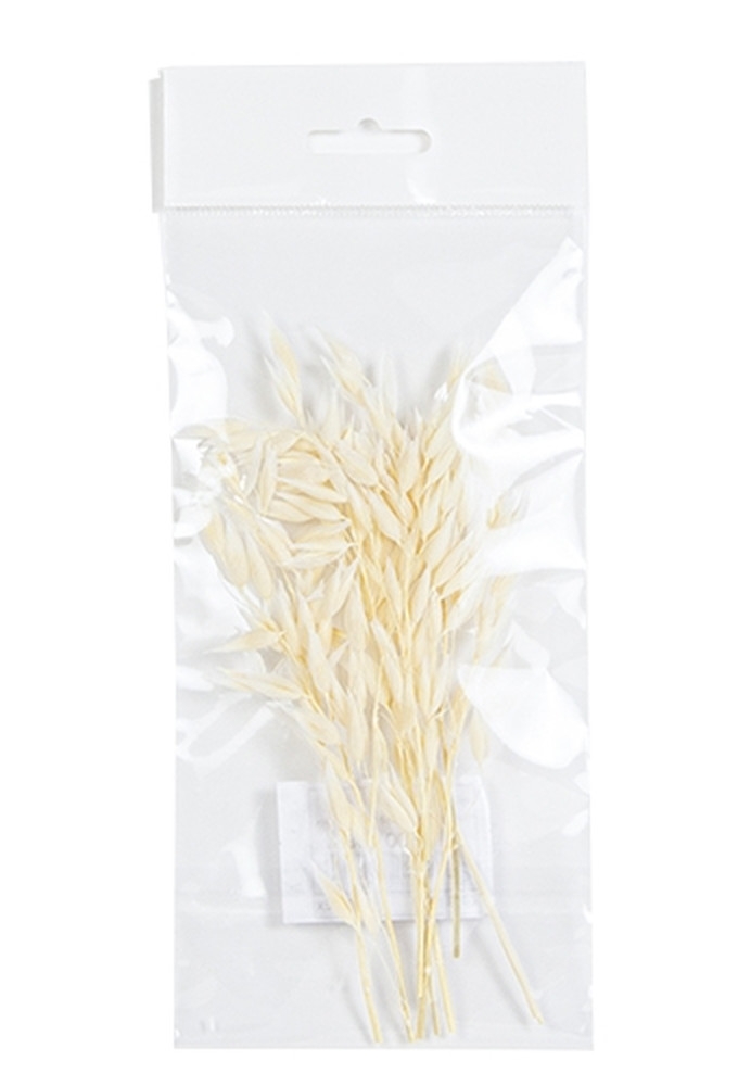 Droogbloemen Mini Decoratie Flowers Haver Wit 12cm 10stuks OP IS OP