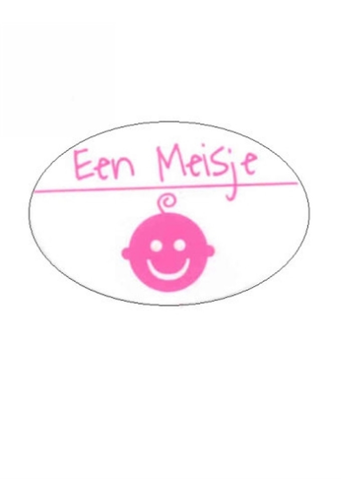 Etiketten Baby Een Meisje Roze 3.8x2.5 cm 500stuks