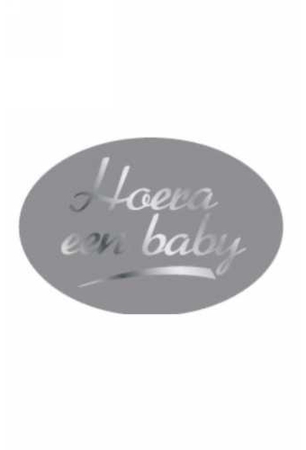 Etiketten Baby Hoera Een Baby Zilver 3.7x2.5cm 500stuks