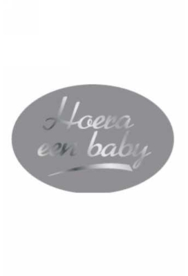 Etiketten Baby Hoera Een Baby Zilver 3.7x2.5cm 500stuks