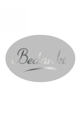 Etiketten Everyday Bedankt Zilver 3.7x2.5cm 500stuks