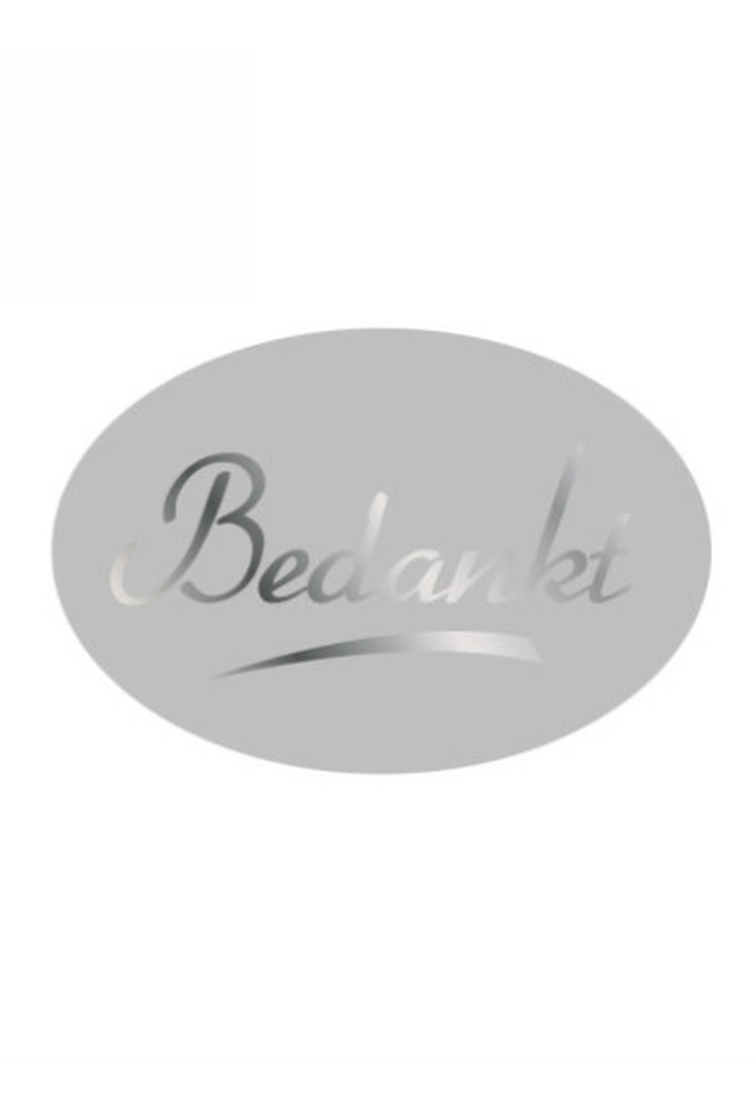 Etiketten Everyday Bedankt Zilver 3.7x2.5cm 500stuks