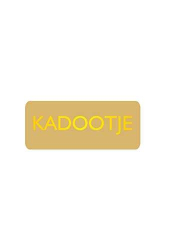 Etiketten Everyday Kadootje Goud 3.8x1.6cm 500stuks