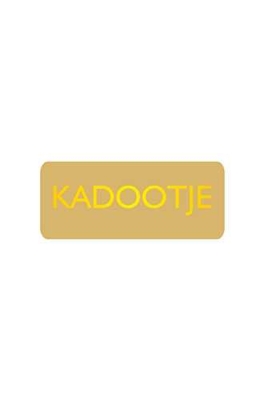 Etiketten Everyday Kadootje Goud 3.8x1.6cm 500stuks