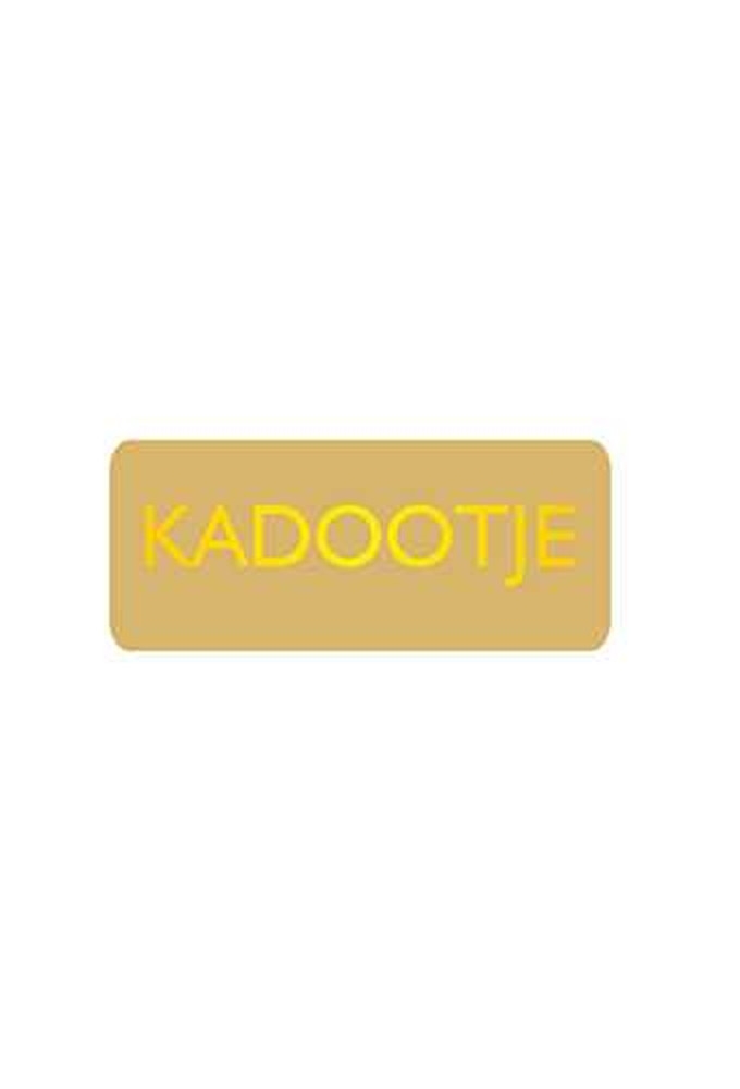 Etiketten Everyday Kadootje Goud 3.8x1.6cm 500stuks