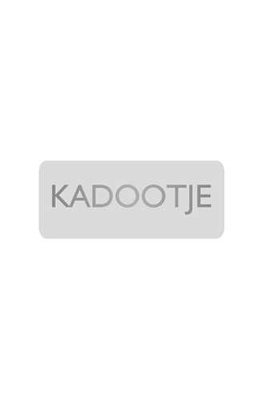 Etiketten Everyday Kadootje Zilver 3.8x1.6cm 500stuks