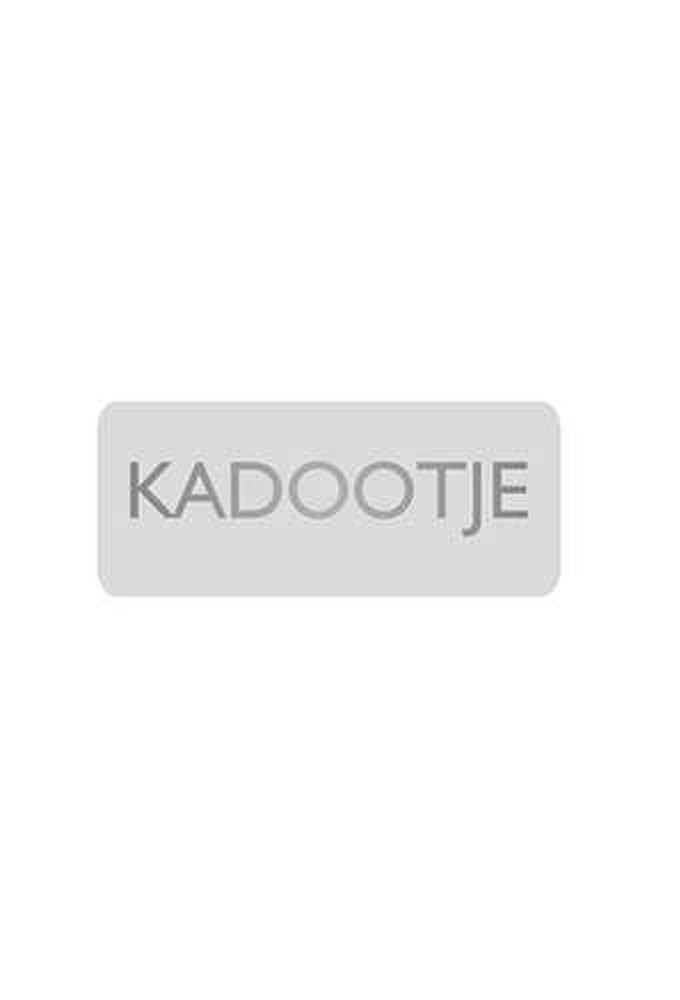 Etiketten Everyday Kadootje Zilver 3.8x1.6cm 500stuks
