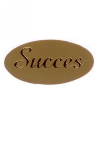 Etiketten Everyday Succes Goud 4x2 cm 500stuks