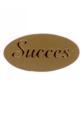 Etiketten Everyday Succes Goud 4x2 cm 500stuks