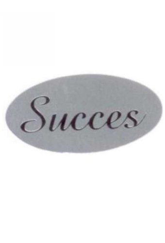 Etiketten Everyday Succes Zilver 4x2 cm 500stuks