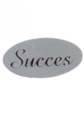 Etiketten Everyday Succes Zilver 4x2 cm 500stuks