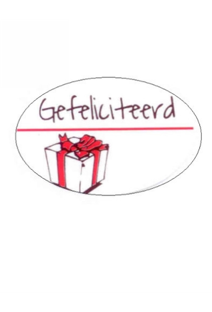 Etiketten Feest Gefeliciteerd Kado Met Strik 3.7x2.5 cm 500stuks
