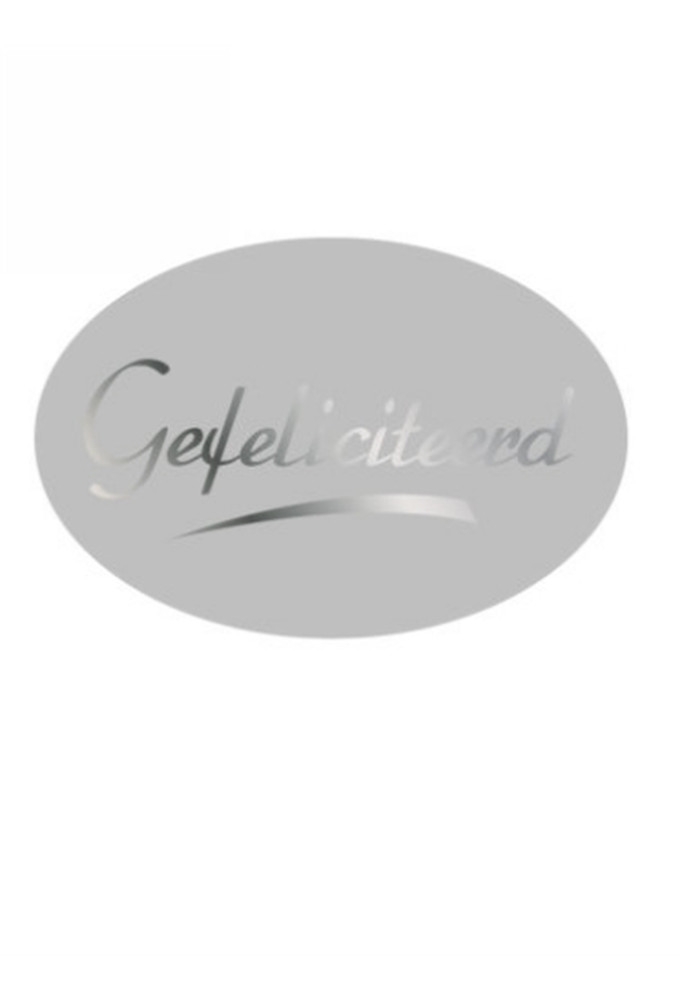 Etiketten Feest Gefeliciteerd Zilver 3.7x2.5cm 500stuks