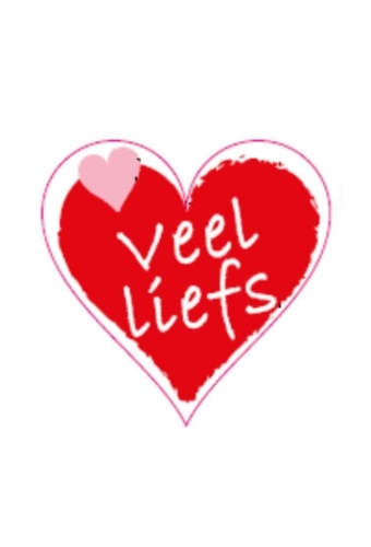 Etiketten Liefde Veel Liefs 4x3.5 cm 500stuks