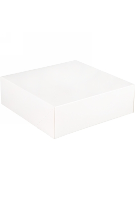 Gebaksdoos Blanco Wit Met Klep 25x25x8cm 270gram 175stuks OP IS OP