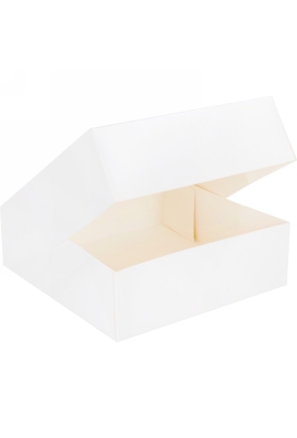 Gebaksdoos Blanco Wit Met Klep 25x25x8cm 270gram 175stuks OP IS OP