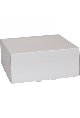 Gebaksdoos Wit Met Klep 21x21x9cm 250gram 150stuks OP IS OP