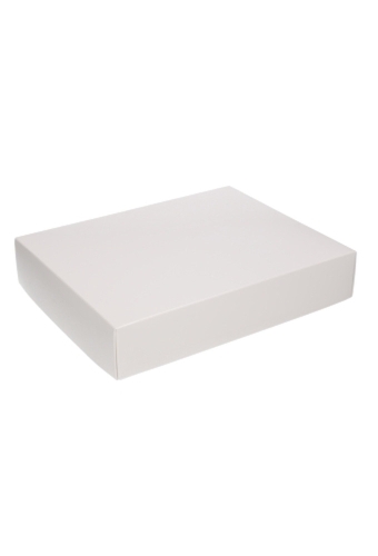 Geschenkdoos & Deksel Gaby Wit Blinkend 25x20x5cm 50stuks