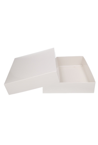 Geschenkdoos & Deksel Gaby Wit Blinkend 25x20x5cm 50stuks