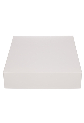 Geschenkdoos & Deksel Gaby Wit Blinkend 25x20x5cm 50stuks
