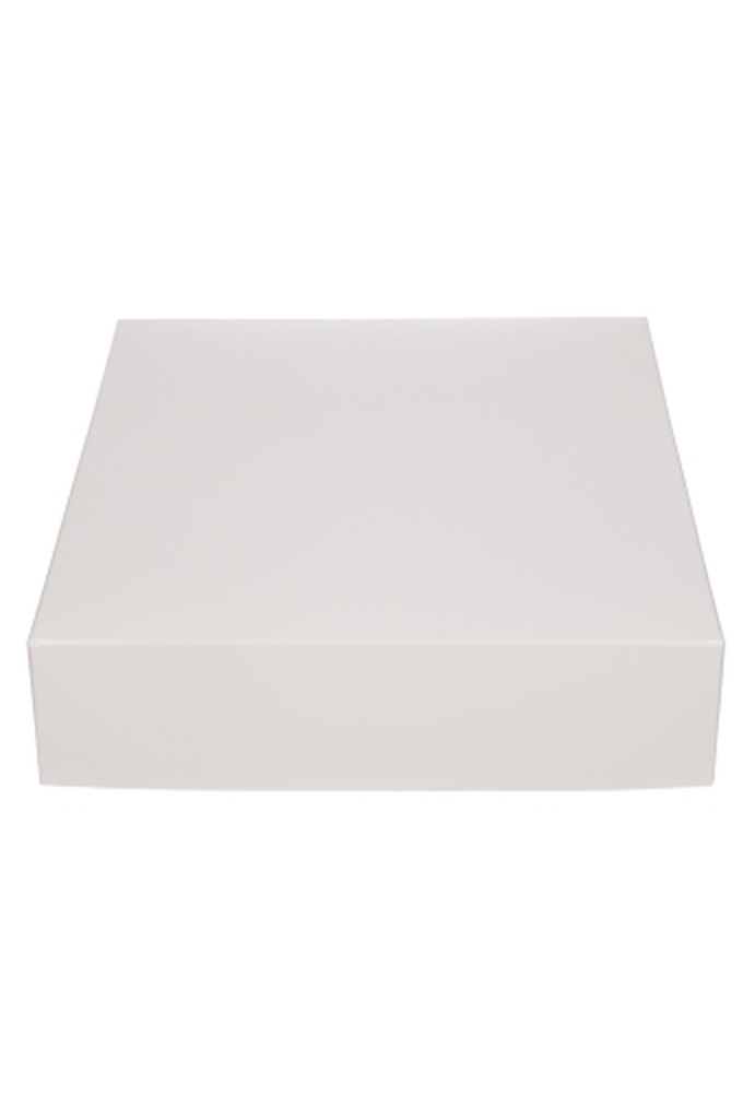 Geschenkdoos & Deksel Gaby Wit Blinkend 25x20x5cm 50stuks