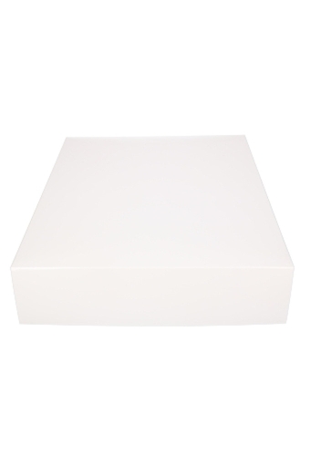 Geschenkdoos & Deksel Gaby Wit Blinkend 40x31x8cm 50stuks
