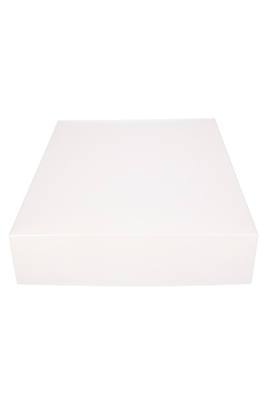 Geschenkdoos & Deksel Gaby Wit Blinkend 40x31x8cm 50stuks