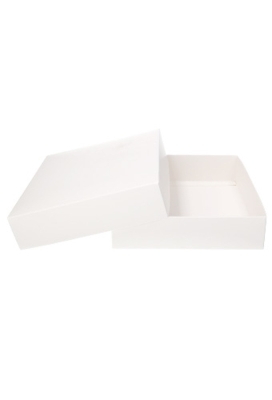 Geschenkdoos & Deksel Gaby Wit Mat 25x20x5cm 50stuks