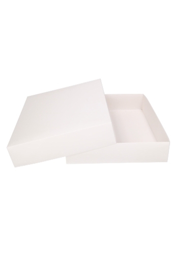 Geschenkdoos & Deksel Gaby Wit Mat 52x40x9cm 25stuks