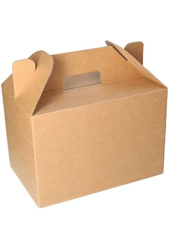 Geschenkdoos Draagdoos XL Met Handvat Kraft 30x20x20cm 25st OP IS OP