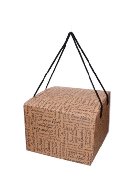 Geschenkdoos Zalig Kerstfeest Kraft & Koord 24.5x24.5x18cm 20stuks