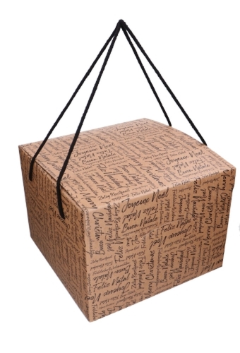 Geschenkdoos Zalig Kerstfeest Kraft & Koord 27x27x20cm 20stuks