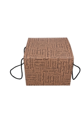 Geschenkdoos Zalig Kerstfeest Kraft & Koord 27x27x20cm 20stuks