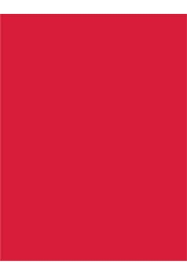 Geschenklint Breed Stof Rodos Rood 75cm x 50meter