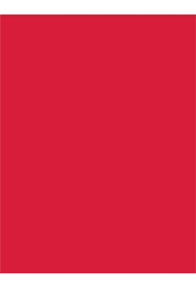Geschenklint Breed Stof Rodos Rood 75cm x 50meter