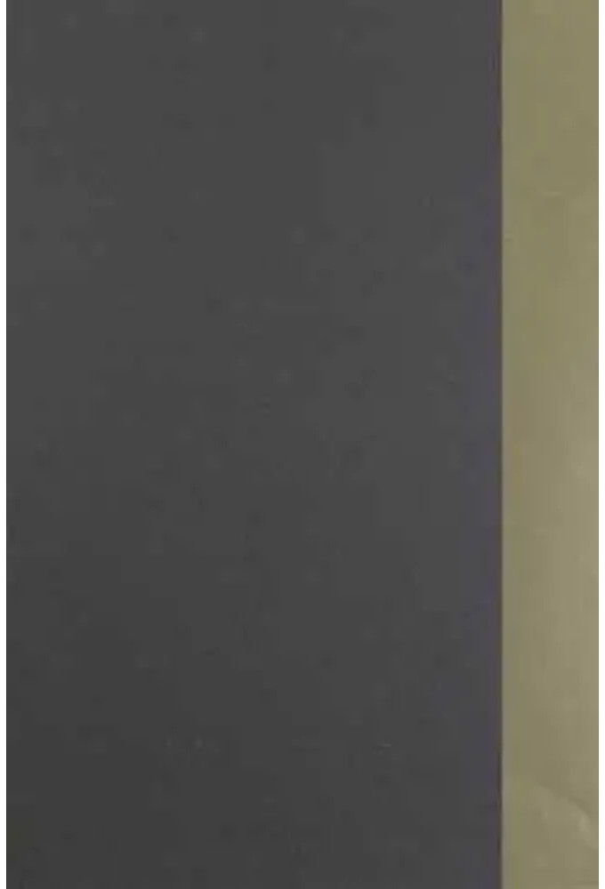 Geschenkpapier Dubbelzijdig Taupe & Champagne 80gr 70cm x 100meter