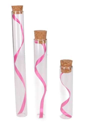 Glazen Buisje Met Kurkje 2.5x10cm 48stuks