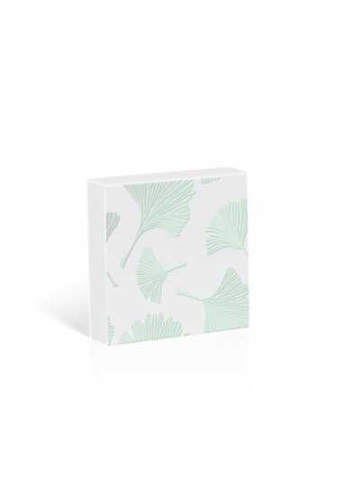 Kadobon + Kadodoosje Bene Ginko Mint 12x12x3cm 10stuks