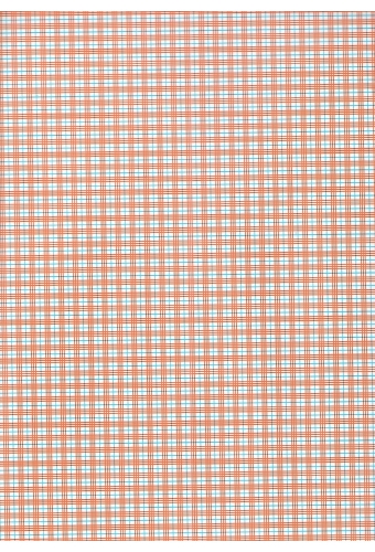 Kadopapier Consumentenrollen Everyday Ruit Oranje 70cm x 2meter 1st