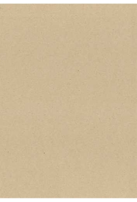 Kadopapier Gerecycled Paper Uni Blanco 50cm x 250meter