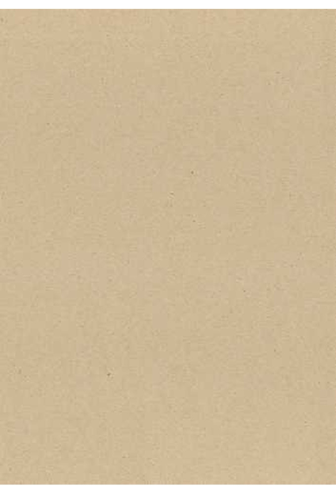 Kadopapier Gerecycled Paper Uni Blanco 50cm x 250meter