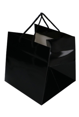 Kadotasjes Rome Uni Zwart Glanzend Met Koord 25x25x25cm Extra Diep 10st