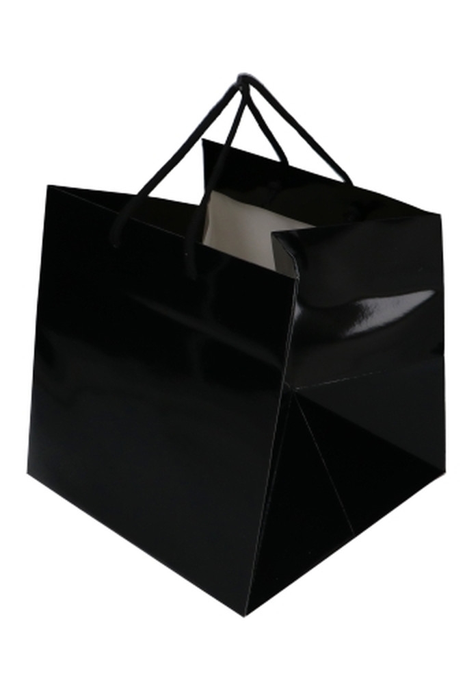 Kadotasjes Rome Uni Zwart Glanzend Met Koord 25x25x25cm Extra Diep 10st