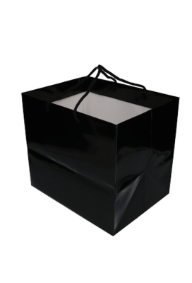 Kadotasjes Rome Uni Zwart Glanzend Met Koord 33x25x29cm Extra Diep 10st