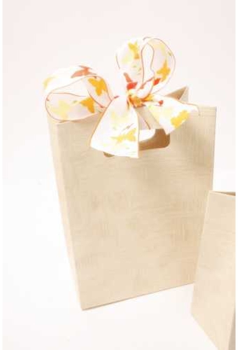 Kadotasje Luigi Karton Neutraal Creme 16x8x23cm 10stuks